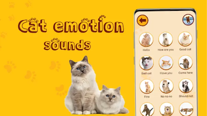 Translate for Animal Cat, Dog android App screenshot 3