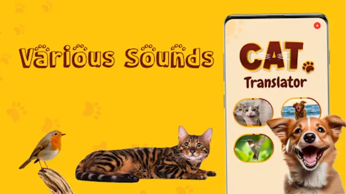 Translate for Animal Cat, Dog android App screenshot 4