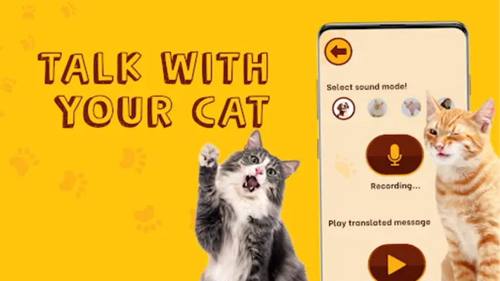 Translate for Animal Cat, Dog android App screenshot 5