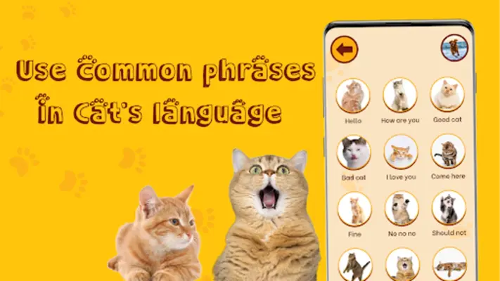 Translate for Animal Cat, Dog android App screenshot 7